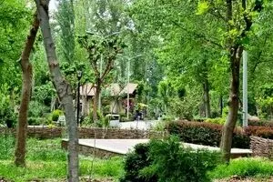  لباس های عجیبی که شهرداری مشهد تن درختان کرد+ عکس