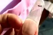 چندش‌آورترین طرح کاشت ناخن با استفاده از موجودات زنده!+عکس