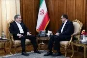 تاکید عراقچی بر اهمیت نقش سازمان همکاری اسلامی در تحکیم همکاری در قبال موضوع فلسطین