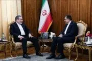 تاکید عراقچی بر اهمیت نقش سازمان همکاری اسلامی در تحکیم همکاری در قبال موضوع فلسطین