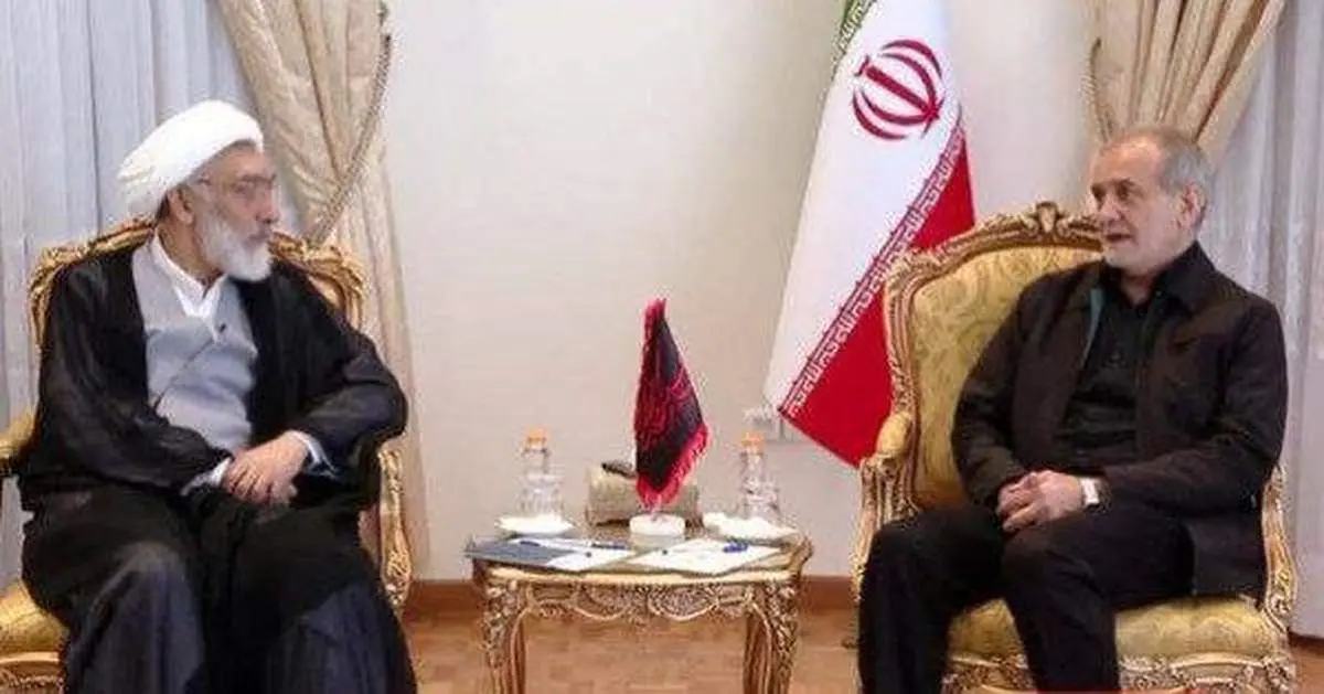کاندیدا انتخابات ریاست جمهوری با مسعود پزشکیان دیدار کرد
