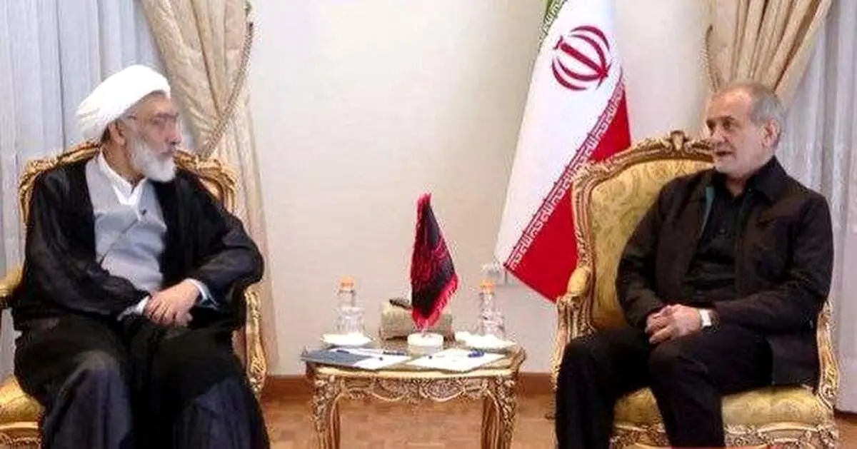 کاندیدا انتخابات ریاست جمهوری با مسعود پزشکیان دیدار کرد
