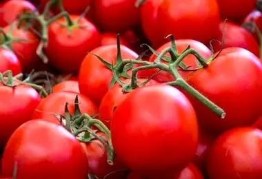 خواص جالب آب گوجه فرنگی که نمی دانستید