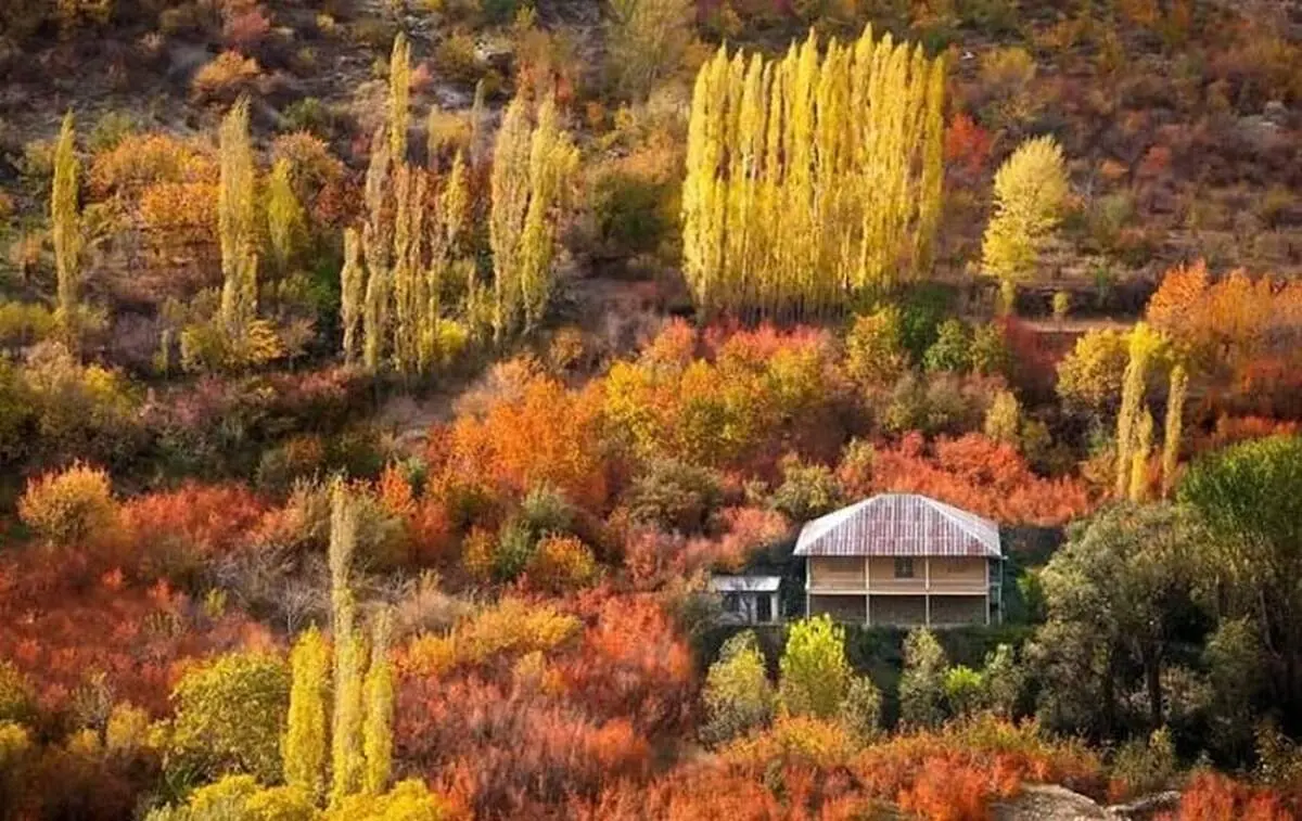 سفر رنگارنگ پاییزی؛ جاده چالوس، بهشتی در دل طبیعت