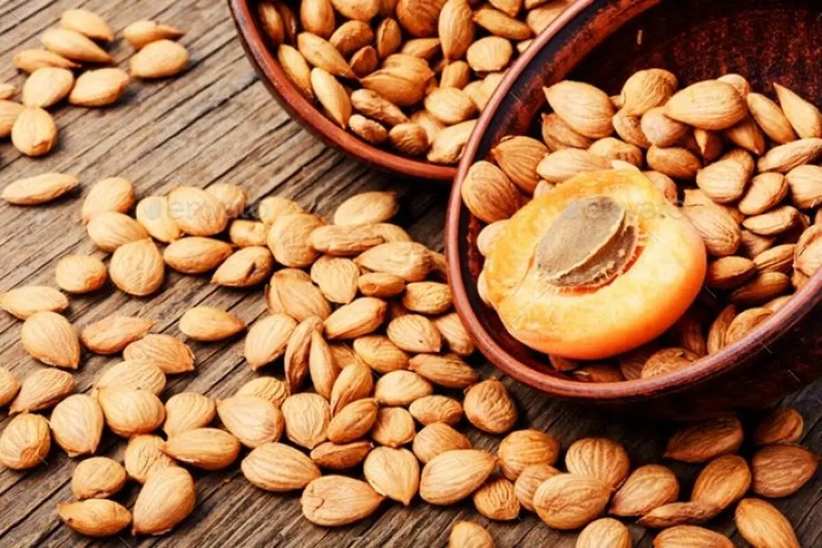 اگر این میوه را نمی خورید حتما هسته اش را بخورید