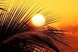 پیش بینی هواشناسی برای یکشنبه ۱۲ و دوشنبه ۱۳ مرداد/ گرمای جهنمی در اره این استانها