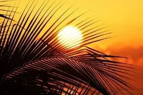گرمای ۴۱ درجه در انتظار تهران!