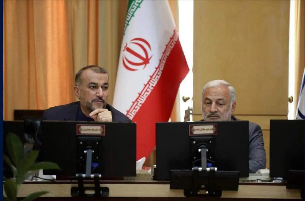 امیرعبداللهیان: نیروگاه اتمی ارمنستان رود ارس را آلوده نکرده است