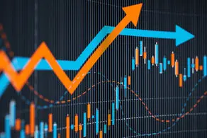 این تصمیم ضرر سنگینی به سهامداران پتروشیمی وارد می‌کند!