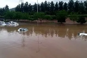 شایعات فوتی و مصدوم در سیل امروز مشهد تکذیب شد!