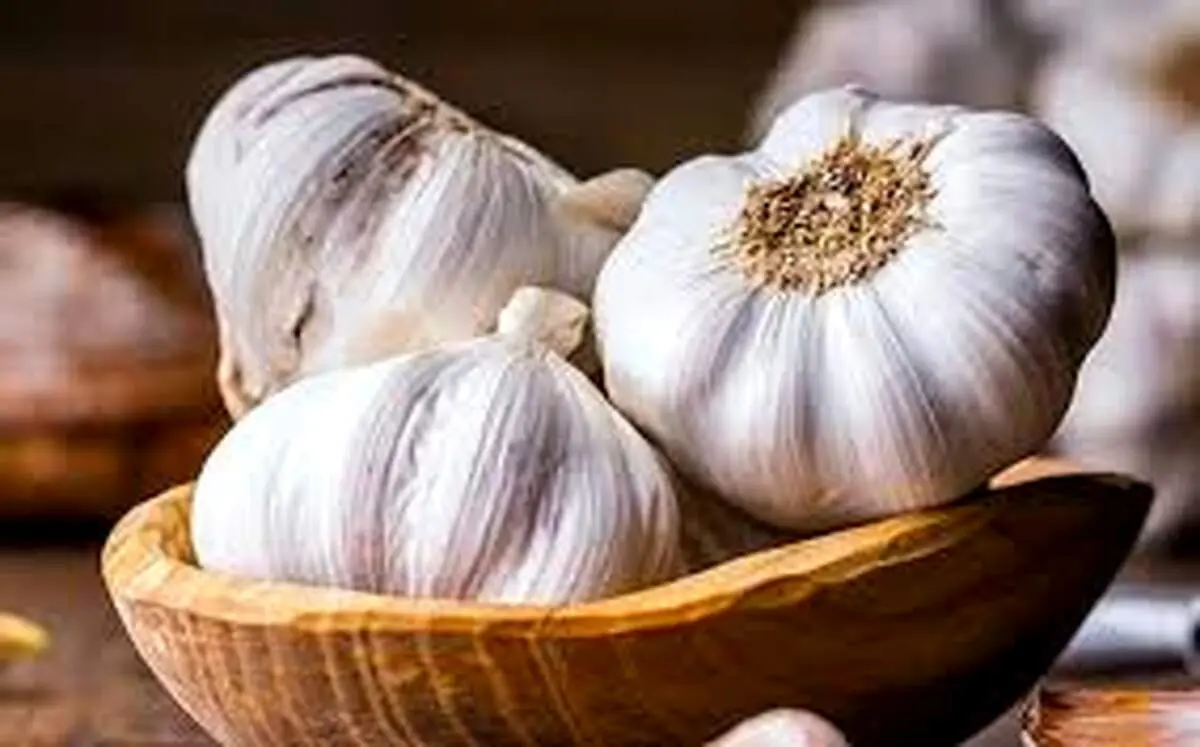  بهترین شیوه برای نگهداری از سیر چیست؟
