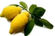 درمان سه سوته نفخ شکم با یک میوه