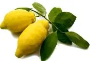 درمان سه سوته نفخ شکم با یک میوه