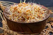  قیمت جدید گندم اعلام شد