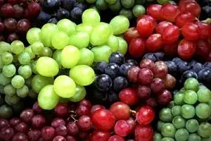 این میوه پاییزی به طرز معجزه آسایی از حملات قلبی و آلزایمر جلوگیری می‌کند