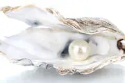 صدف چگونه مروارید می‌سازد؟