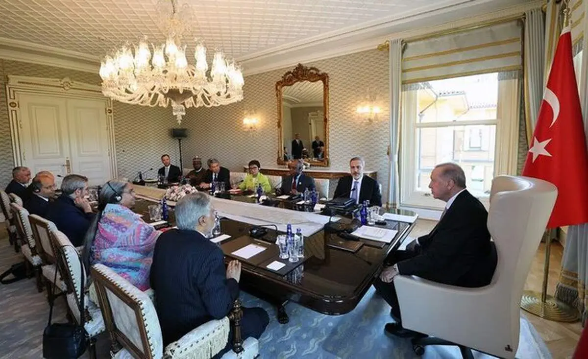 علی باقری با اردوغان دیدار کرد