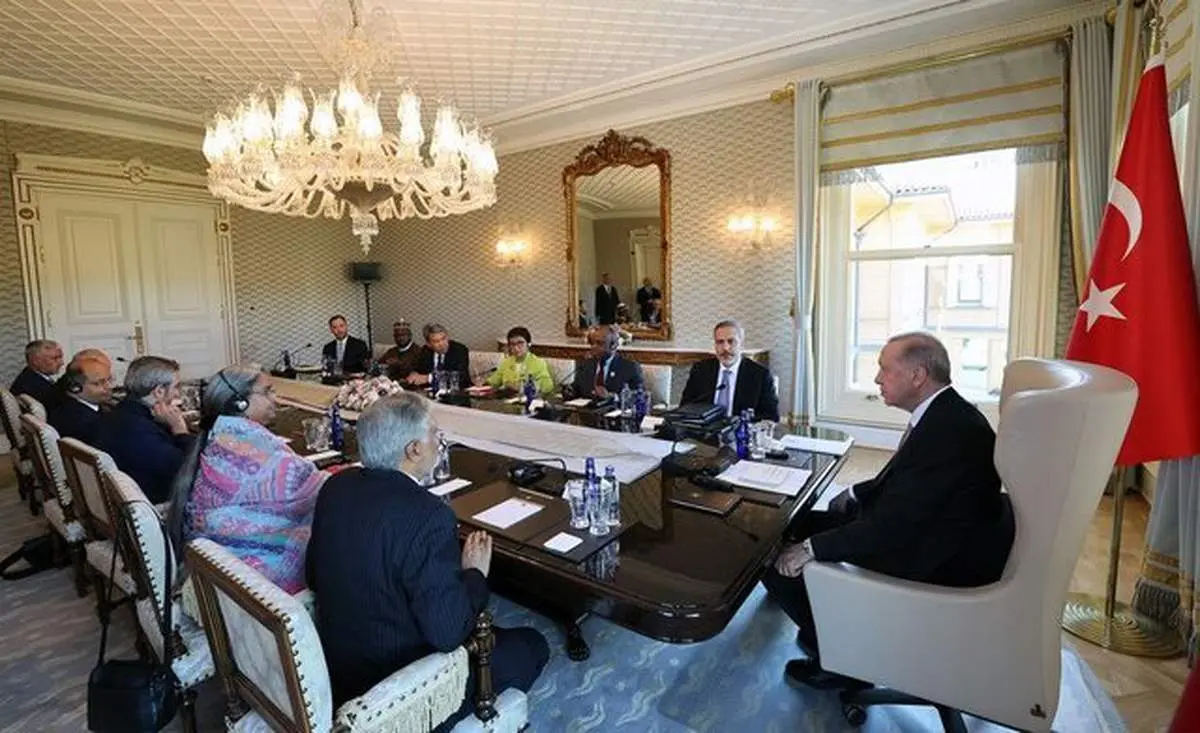 علی باقری با اردوغان دیدار کرد