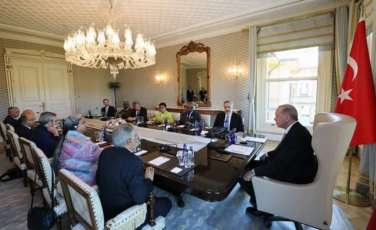 علی باقری با اردوغان دیدار کرد