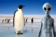 آیا پنگوئن‌ها همان آدم فضایی‌ها هستند؟