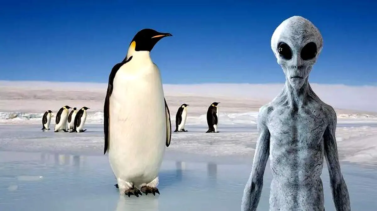 آیا پنگوئن‌ها همان آدم فضایی‌ها هستند؟
