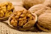 معجزه های درمانی که برگ درخت گردو دارد!