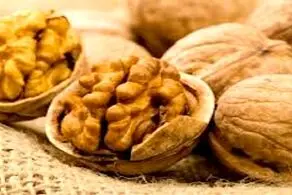 مغز گردو کیلویی ۴۰۰ هزار تومان!/ جدول