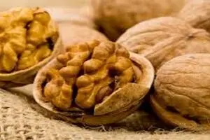 معجزه های درمانی که برگ درخت گردو دارد!