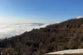 اقدام  ناجور و کثیف یک مردسنگدل با همسرش در جنگل (عکس +14)

