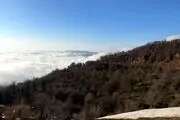 اقدام  ناجور و کثیف یک مردسنگدل با همسرش در جنگل (عکس +14)

