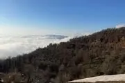 اقدام  ناجور و کثیف یک مردسنگدل با همسرش در جنگل (عکس +14)

