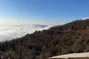 اقدام  ناجور و کثیف یک مردسنگدل با همسرش در جنگل (عکس +14)

