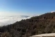 اقدام  ناجور و کثیف یک مردسنگدل با همسرش در جنگل (عکس +14)

