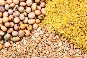 چگونه بخوریم و لاغر شویم!