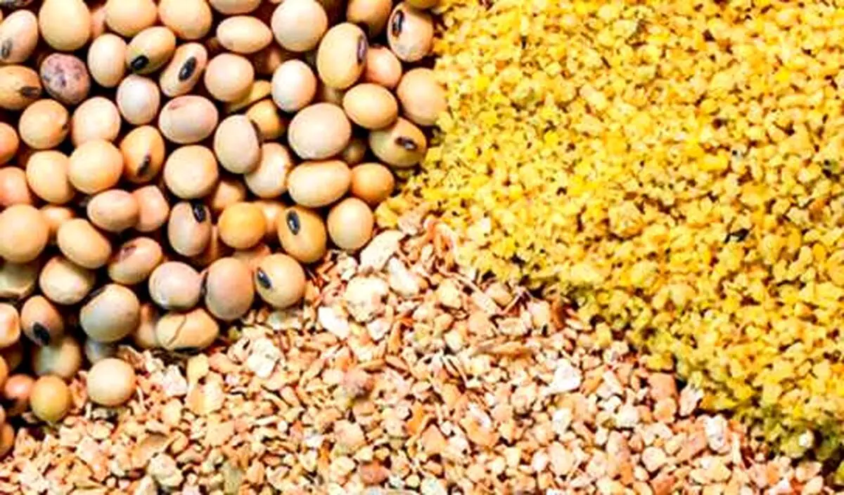 چگونه بخوریم و لاغر شویم!