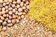 چگونه بخوریم و لاغر شویم!