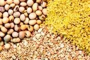 چگونه بخوریم و لاغر شویم!