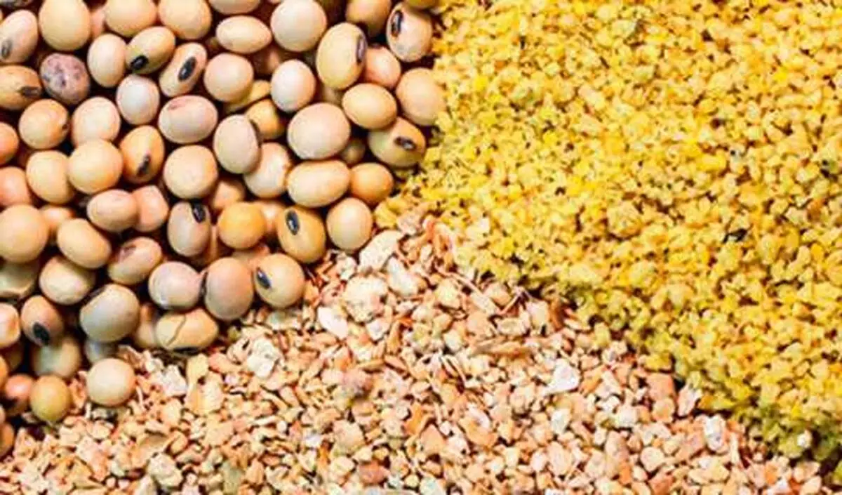 چگونه بخوریم و لاغر شویم!