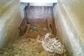 کشف یک تونل مربوط به جنگ جهانی دوم در زیر محوطه راه آهن  اهواز+ عکس