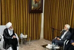 جلیلی با آیت الله نوری همدانی دیدار کرد
