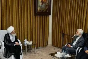 جلیلی با آیت الله نوری همدانی دیدار کرد