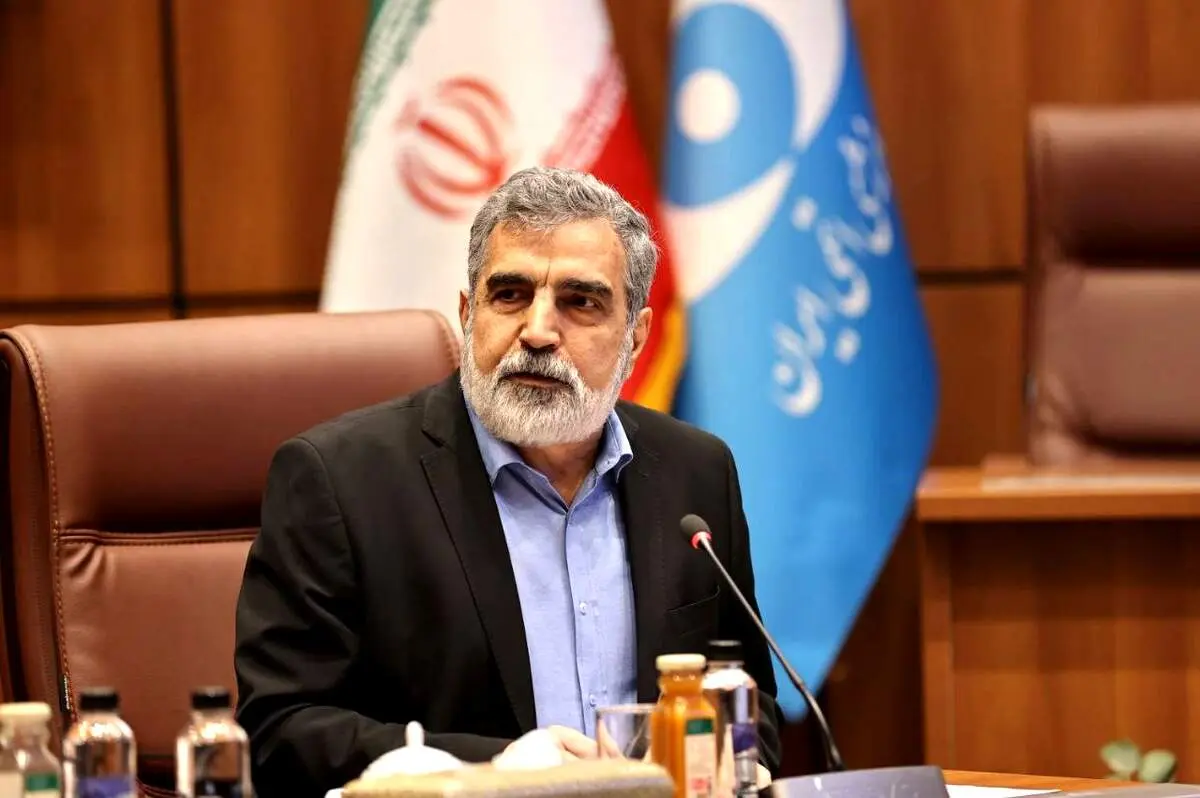 هیچ دارایی و حساب سازمان انرژی اتمی در ترکیه مسدود نشده است