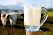 شیر را گرم بخوریم بهتر است یا سرد؟