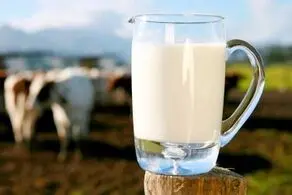 شیر را گرم بخوریم بهتر است یا سرد؟