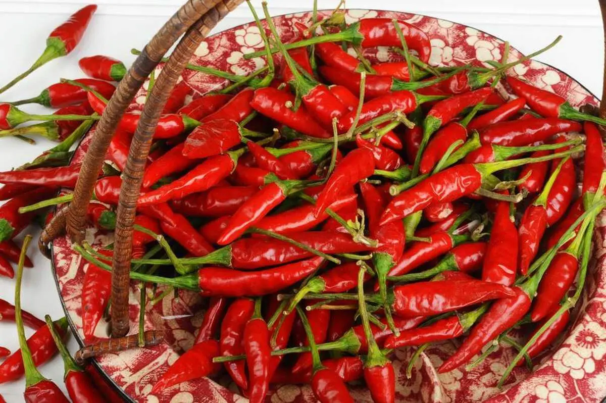 غذاهای تند منجر به مرگ می‌شود؟
