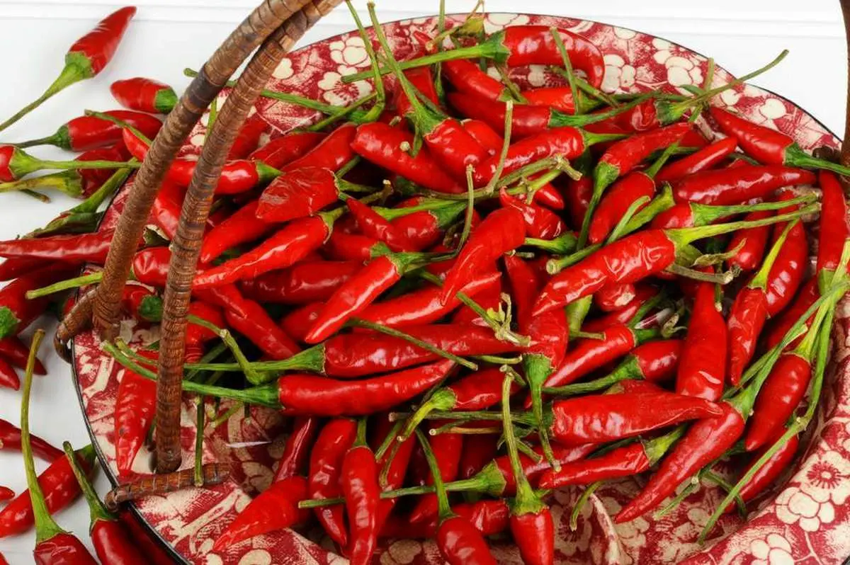 غذاهای تند منجر به مرگ میشود؟
