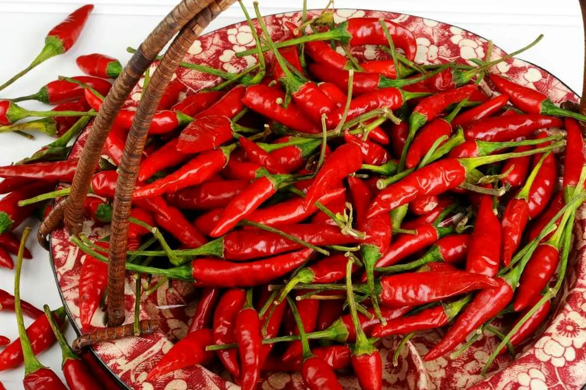 غذاهای تند منجر به مرگ می‌شود؟
