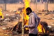 بایدن، هندی‌ها را می‌کشد؟!
