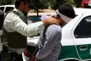 عاملان آتش‌سوزی خودروهای شخصی در بهارستان دستگیر شدند!