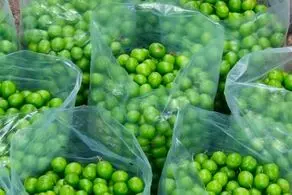 خوردن گوجه سبز برای این افراد ممنوع!
